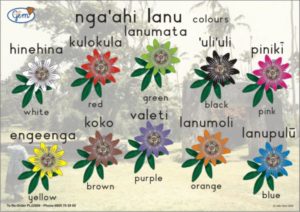 Colours Poster Tongan-0
