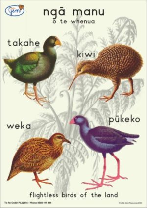Birds of the Land Poster Maori-0