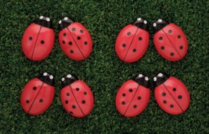 Ladybugs Counting Stones (22pcs)-0